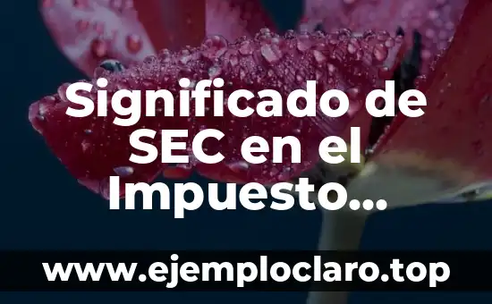 Significado de SEC en el Impuesto Predial
