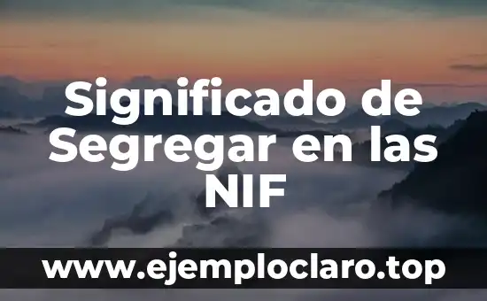 Significado de Segregar en las NIF