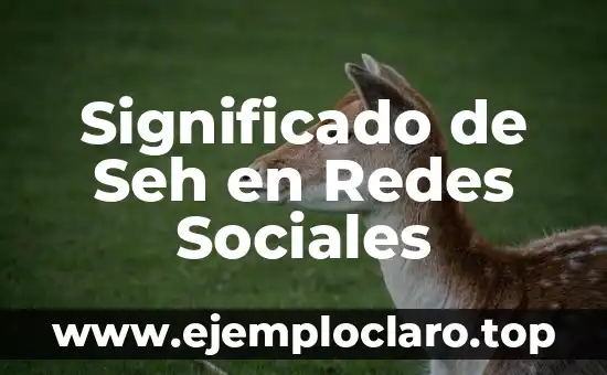 Instalación de Equipos y Redes: Todo lo que Necesitas Saber 5 Significado de Seh en Redes Sociales