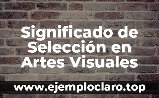 Significado de Selección en Artes Visuales