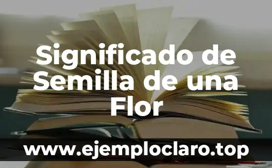 Significado de Semilla de una Flor