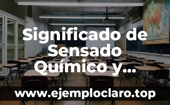 Significado de Sensado Químico y Biológico