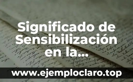 Entorno Virtual de Enseñanza: Un Nuevo Paradigma Educativo 7 Significado de Sensibilización en la Enseñanza