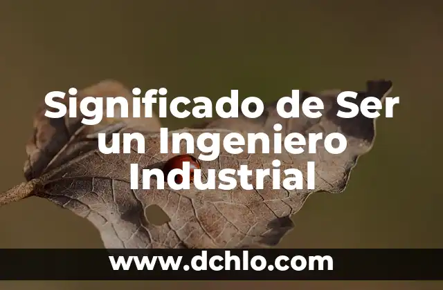 El significado de ingeniero 8 Significado de Ser un Ingeniero Industrial