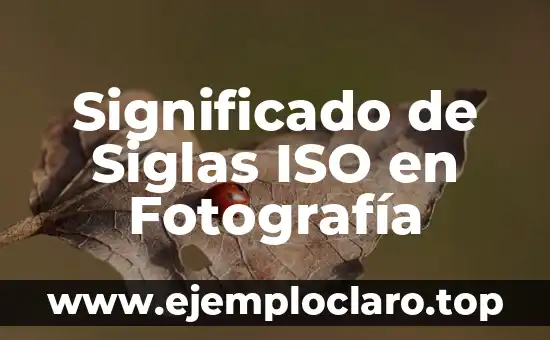 Significado de Siglas ISO en Fotografía