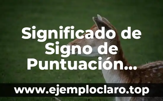 Significado de Signo de Puntuación Goma