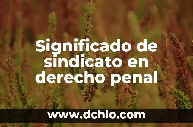 Significado de Acepciones del Derecho 6 Significado de sindicato en derecho penal