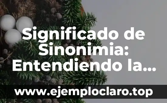 Significado de Sinonimia: Entendiendo la Riqueza del Lenguaje