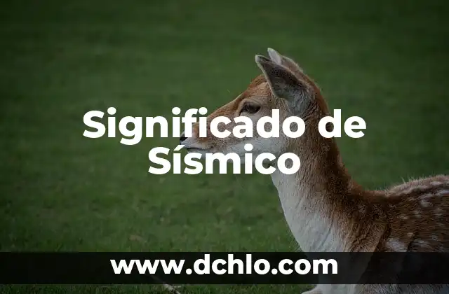 El Significado en Inglés de 'Somehow' 6 Significado de Sísmico