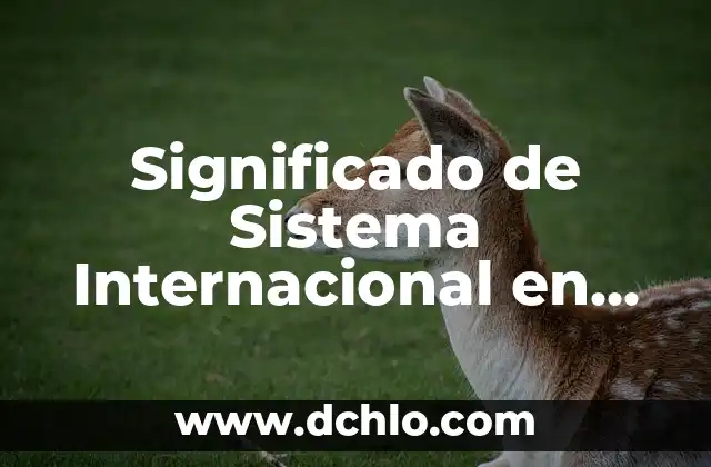 Significado del Nombre de Fernanda 8 Significado de Sistema Internacional en Física
