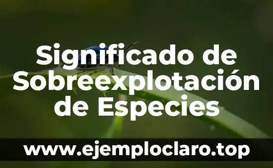 Significado de Sobreexplotación de Especies