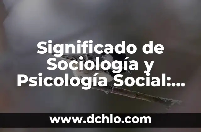 Significado del Nombre Diego: Un Análisis Profundo 8 Significado de Sociología y Psicología Social: Un Análisis Integral