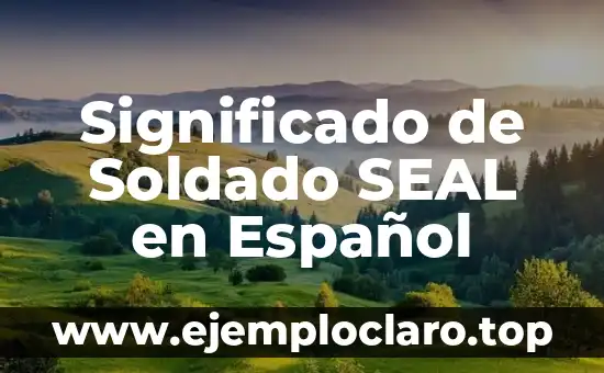 Significado de Soldado SEAL en Español