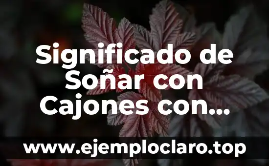 Significado de Soñar con Cajones con Dibujos