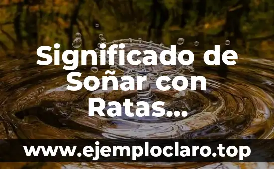 Significado de Soñar con Ratas Aplastadas