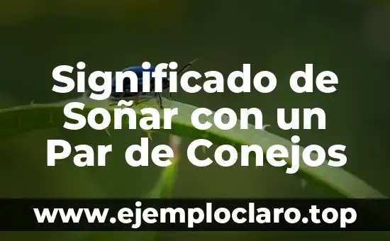 El Nombre de los Conejos: Un Viaje al Origen de su Significado 5 Significado de Soñar con un Par de Conejos