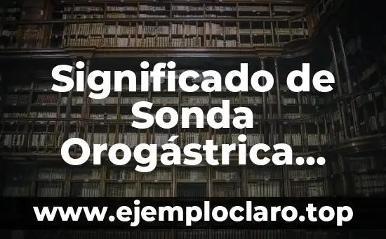 Significado de Sonda 3 Significado de Sonda Orogástrica French 8r