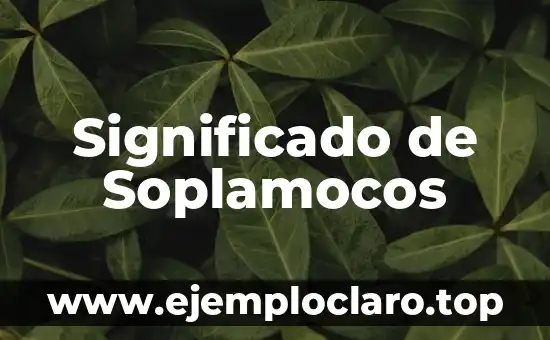 Significado de Soplamocos