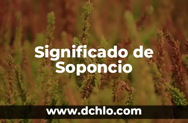 El Soplillo: Un Instrumento Musical con un Profundo Significado 7 Significado de Soponcio