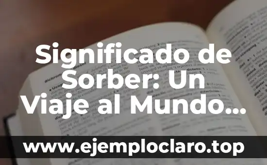 Significado de Sorber: Un Viaje al Mundo de los Líquidos