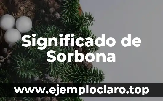Significado de Sonia 8 Significado de Sorbona
