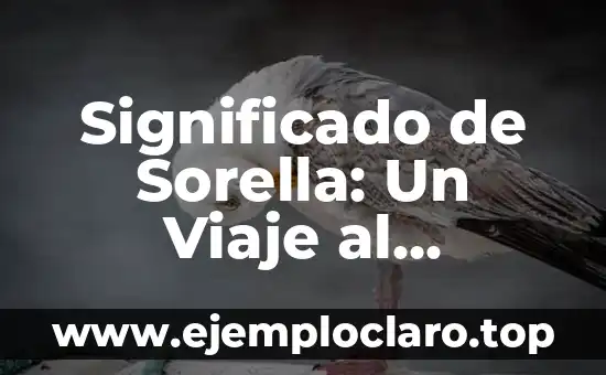 Significado de Sorella: Un Viaje al Corazón del Italiano