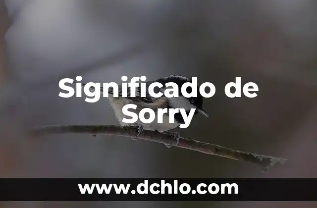 Significado del Volcán de Everman: Un Enfoque Geológico 4 Significado de Sorry
