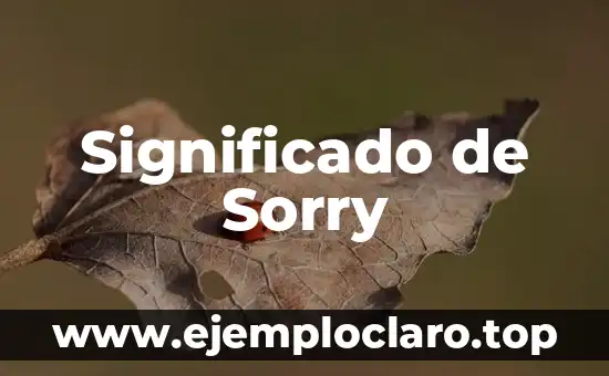 Significado de Sorry