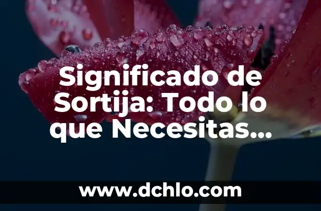 Significado del Volcán de Evermann 6 Significado de Sortija: Todo lo que Necesitas Saber
