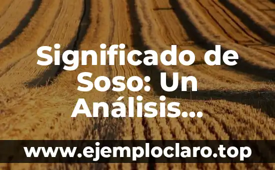 Significado de Soso: Un Análisis Detallado