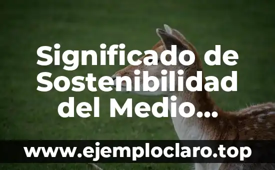 Concepto de Sostenibilidad y su Significado 3 Significado de Sostenibilidad del Medio Ambiente