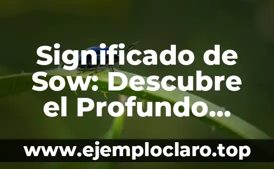Significado de Sow: Descubre el Profundo Simbolismo Detrás de esta Acción