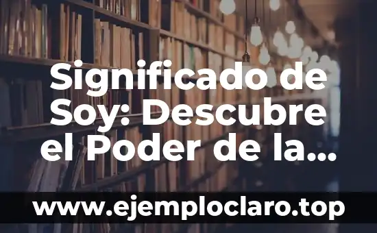 Significado de Soy: Descubre el Poder de la Soya