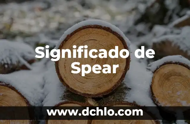 Descubre el Significado de Soyaniquilpan 8 Significado de Spear