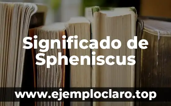 Significado de Spheniscus