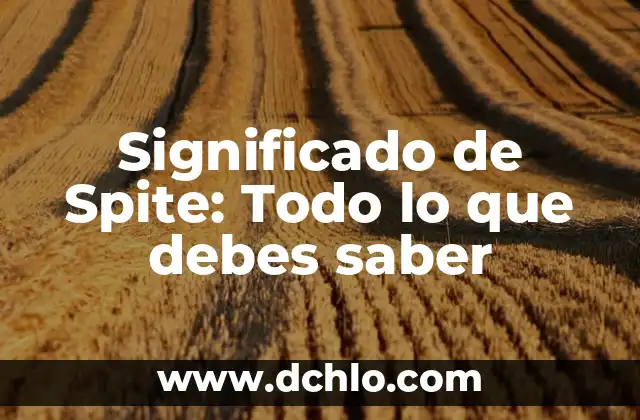 El Marsupio: Todo lo que Necesitas Saber 7 Significado de Spite: Todo lo que debes saber