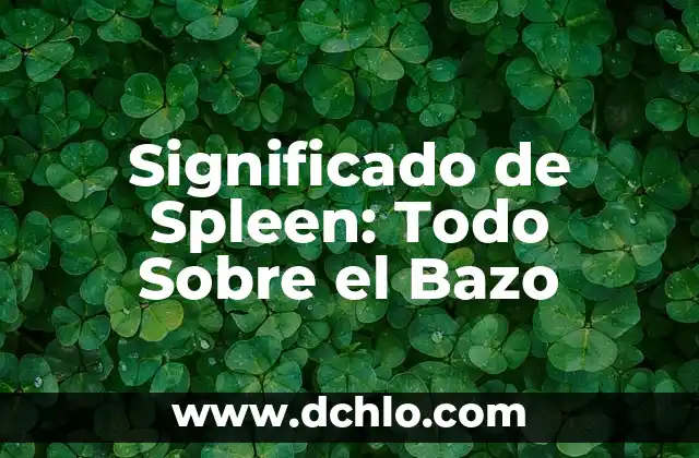 El Marsupio: Todo lo que Necesitas Saber 8 Significado de Spleen: Todo Sobre el Bazo