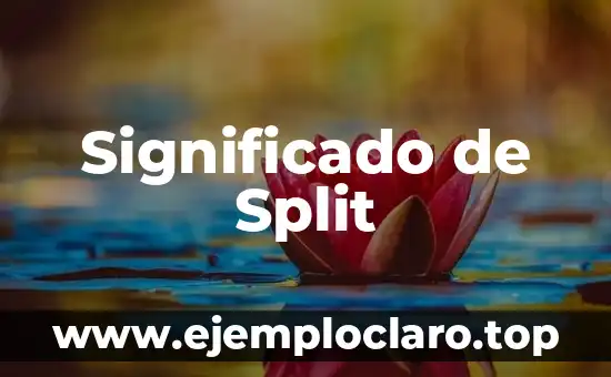 significado de spiner 7 Significado de Split