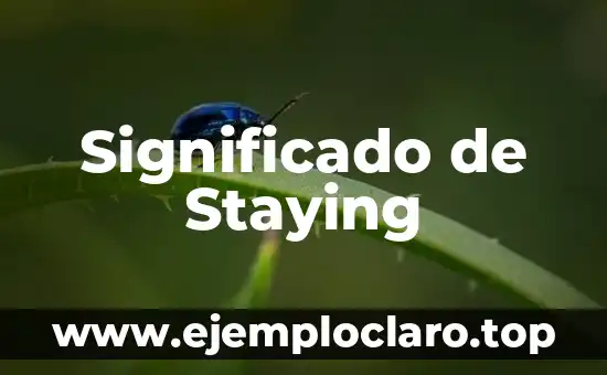 Significado de Staying