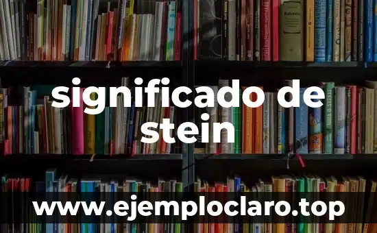significado de stein