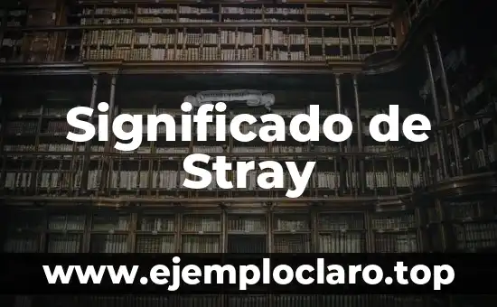 Significado de Sto 7 Significado de Stray