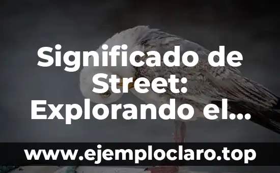 Significado de Street: Explorando el Concepto Urbano