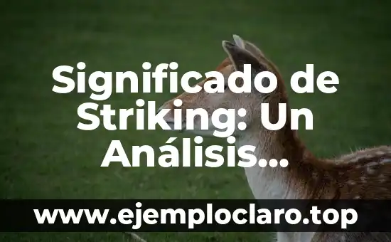 Significado de Striking: Un Análisis Profundo