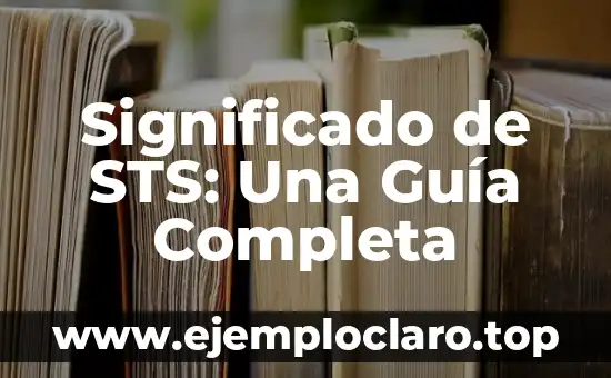 Significado de Subgénero: Una Guía Completa 6 Significado de STS: Una Guía Completa