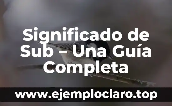 Significado de Sub - Una Guía Completa