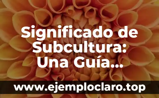 Significado de Subgénero: Una Guía Completa 7 Significado de Subcultura: Una Guía Completa