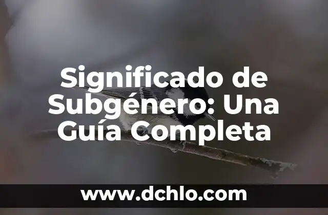 Inventame Significado de la Canción: Guía Completa 8 Significado de Subgénero: Una Guía Completa