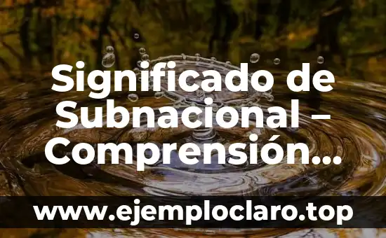 Significado de Subnacional - Comprensión Básica