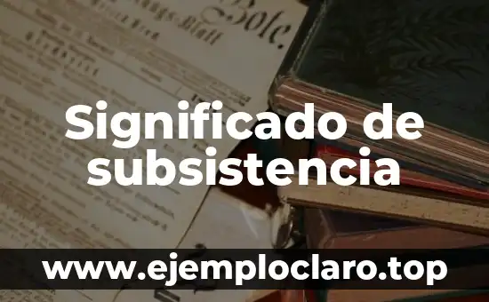 Significado de subsistencia