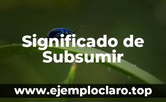 Significado de Subsumir